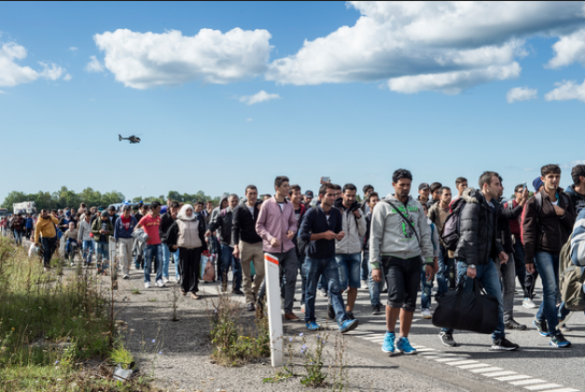 За неделю в Бельгию прибыли 2 тыс. мигрантов | Русская весна