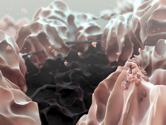 В Кембридже создали «дышащую» супербатарею | Русская весна