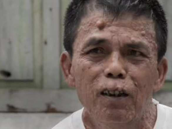 «Зёрна» и «плевелы» биотехнологий (ВИДЕО) | Русская весна