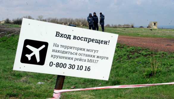 Международного трибунала по боингу не будет: посол Нидерландов | Русская весна