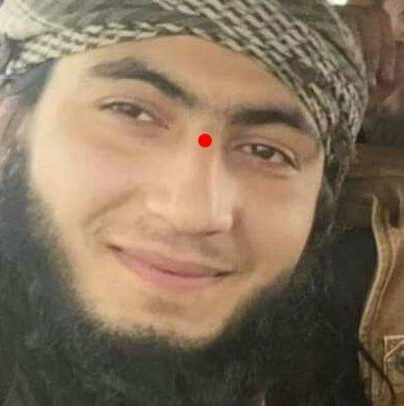 Кровавая жатва: множество главарей террористов уничтожено в Сирии за последнюю неделю (ФОТО 18+) | Русская весна