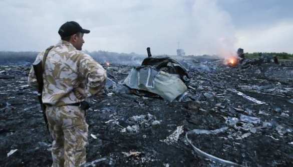 Мать погибшей в катастрофе Боинга требует от Украины 1 млн долл. через Европейский суд | Русская весна