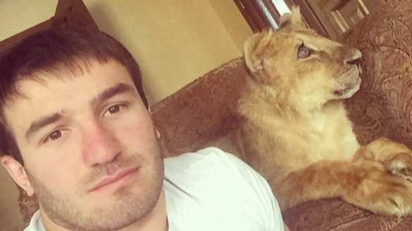 «Борцуха» из Нальчика завел у себя дома ручного льва (ВИДЕО) | Русская весна