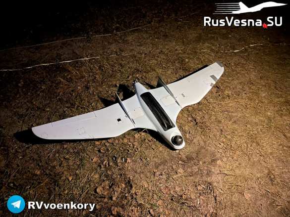 «Отважные» приземлили вражеский беспилотник (ФОТО) | Русская весна