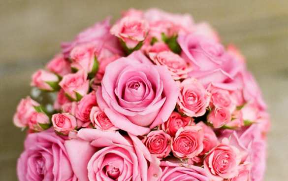 Розы с доставкой: вечный язык признательности | Русская весна