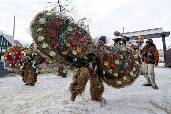 Сеть взорвали фотографии «крылатых Чебурашек» с Буковины (ФОТО) | Русская весна