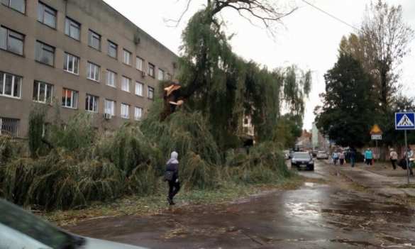 По Львовской области пронеслась буря: деревья падали на автомобили, крыши домов и железнодорожные пути (ФОТО) | Русская весна