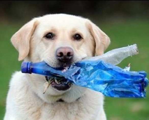 Для протезов «киборгам» на Украине объявлен сбор бутылок (ФОТО) | Русская весна