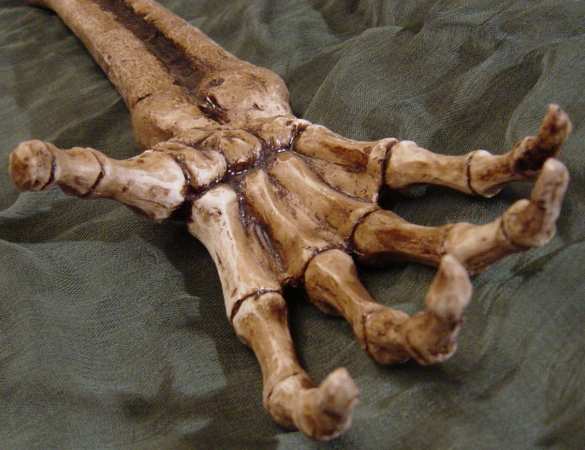 Бучи-2 не получится: вскрылась ложь о руке с браслетами из могилы в Изюме (ФОТО) | Русская весна