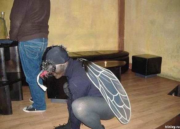 Австралийские ученые пытаются обосновать однополые браки, скрещивая опарышей | Русская весна