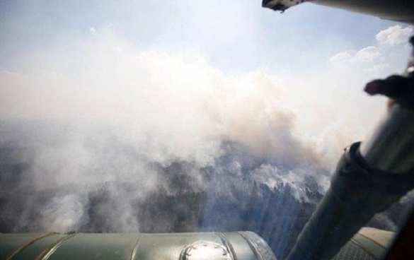 Чернобыль ещё тушат, а Житомирская область горит (+ФОТО, ВИДЕО) | Русская весна