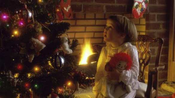 «Козёл Тимур, тигр Амур, «Крым придется вернуть» и рождественское чудо в «матрице» — мнение | Русская весна