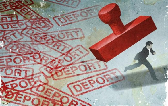 Зрада: Из Израиля массово депортировали украинцев  | Русская весна