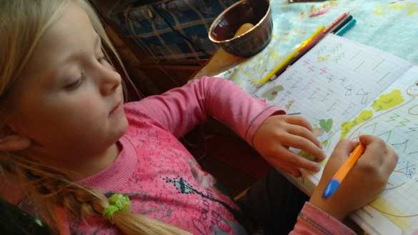 Армия ДНР вручила новогодние подарки маленьким жителям Горловки (ВИДЕО) | Русская весна