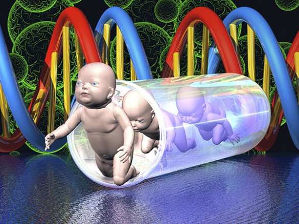 В Британии узаконили рождение детей от трех родителей | Русская весна