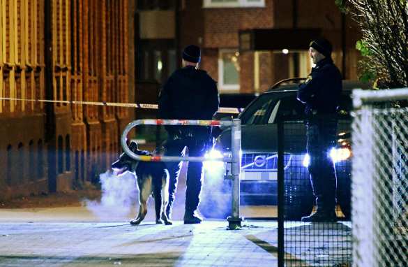 В Швеции банда мигрантов жестоко надругалась над 17-летней школьницей (ФОТО, ВИДЕО) | Русская весна