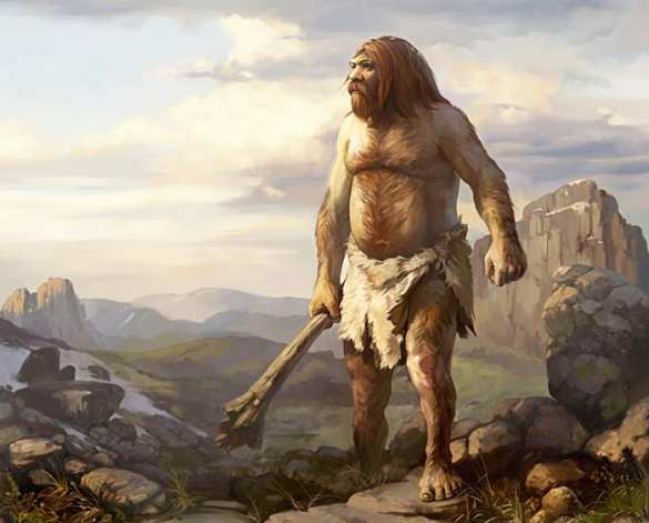 Прятавшийся от мобилизации украинец прожил две недели в лесу и избил полицейского | Русская весна