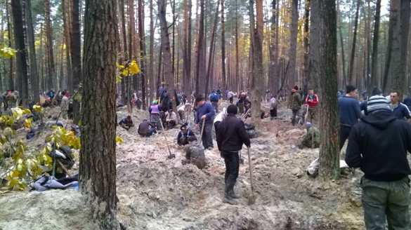 «Думали, что это Африка»: на Западной Украине массово воруют янтарь (ВИДЕО) | Русская весна