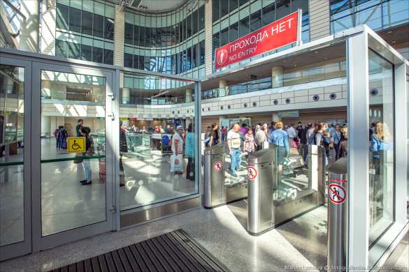 В аэропорту «Домодедово» задержали извращенца с Украины | Русская весна