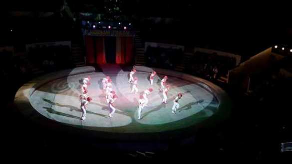 В Донецком цирке аншлаг – бесплатные представления и 4000 подарков для детей! | Русская весна