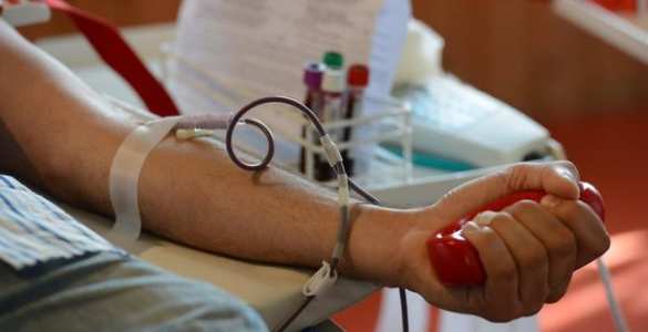 Хроники перемоги: Кабмин разрешил продавать за границу украинскую кровь | Русская весна