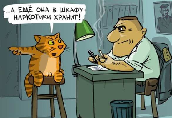 «Съели овощи с моего огорода»: милиция Минска ворвалась в Интернет и это стоит увидеть (ФОТО) | Русская весна