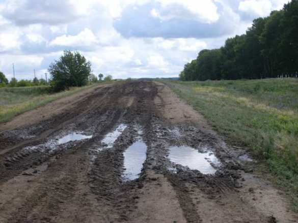 Готовится уничтожение полевых дорог в Одесской области, которые ведут к границе с Приднестровьем | Русская весна