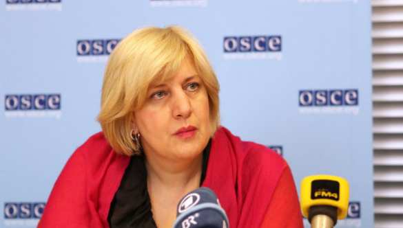 Свобода слова за закрытыми дверями: Представитель ОБСЕ по вопросам свободы СМИ проведет «мастер-класс» для Министерства информации | Русская весна