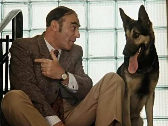 Декларация Порошенко: два автомобиля, пять земельных участков, квартира… три квартиры (ДОКУМЕНТЫ) | Русская весна