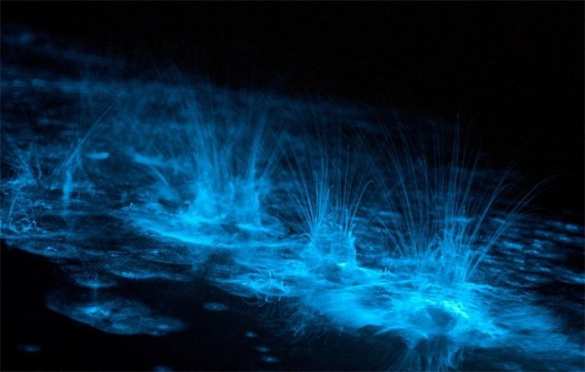 Самая маленькая в мире светящаяся молекула синтезирована в Красноярске | Русская весна