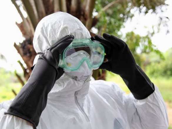 К началу декабря Эболой будут заражаться 5–10 тысяч человек каждую неделю — ВОЗ | Русская весна