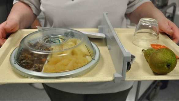 Еду пациентам больницы в Голландии будут печатать на 3D-принтере (ФОТО) | Русская весна