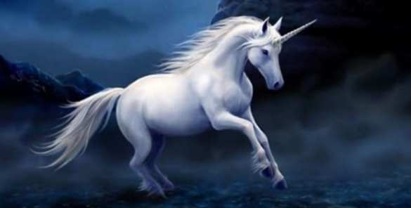 В США девочке выдали лицензию на содержание единорога во дворе дома | Русская весна