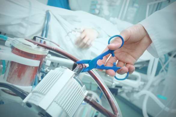 У Зеленского готовят законопроект о легализации эвтаназии | Русская весна