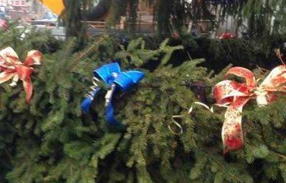 Утилизировать ёлку правильно: названы самые безопасные способы | Русская весна