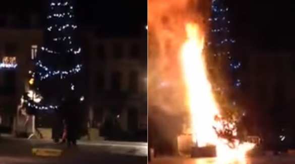 В Бельгии с криками «Аллах акбар!» мигранты подожгли рождественскую елку (ВИДЕО) | Русская весна