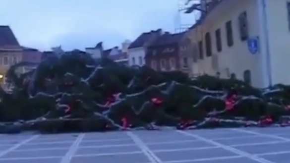 Знаки: самая высокая ёлка рухнула после отмены триумфа «пророссийского» кандидата в Румынии (ВИДЕО) | Русская весна