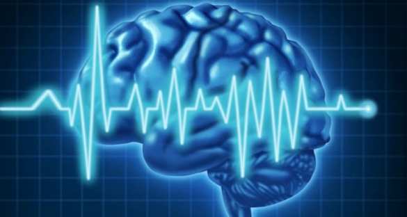 Ученые научились устанавливать личность по энцефалограмме | Русская весна