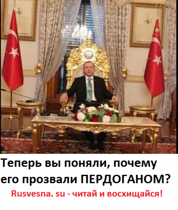 Эрдоган потратит деньги турецких налогоплательщиков на «откаты» и «распилы» для лидеров фейкового меджлиса | Русская весна