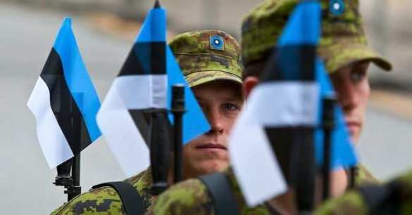 Эстония стала первой и пока единственный страной ЕС, которая готова отправить свои войска на Украину | Русская весна