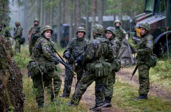 В Эстонии пожаловались на нехватку средств на покупку снарядов | Русская весна