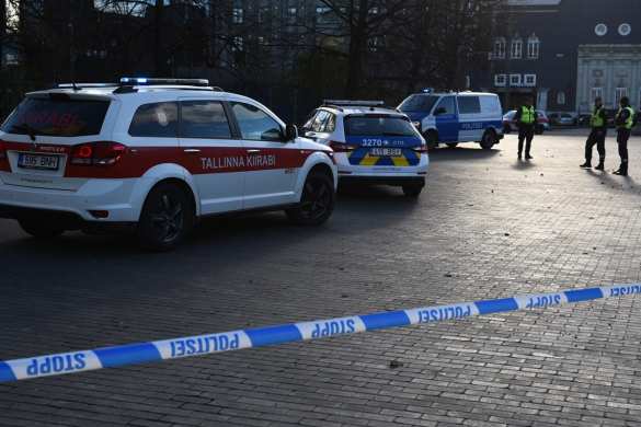 В Эстонии полицейские застрелили мужчину, бросавшегося на прохожих с ножами (ФОТО) | Русская весна