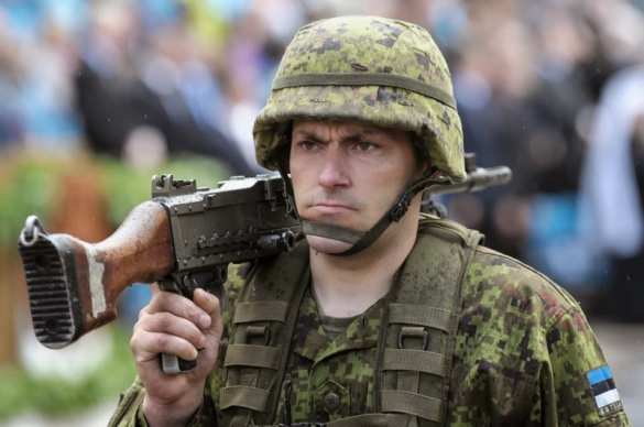 Раскрыты тайные пристрастия эстонских военных | Русская весна