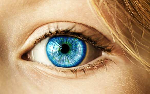 Сохранение зрения: что советуют офтальмологи | Русская весна