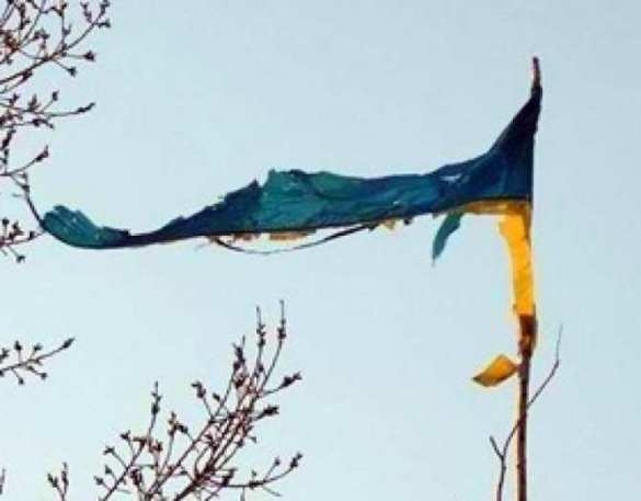 Украинские военные в Авдеевке грабят квартиры жителей (ВИДЕО) | Русская весна