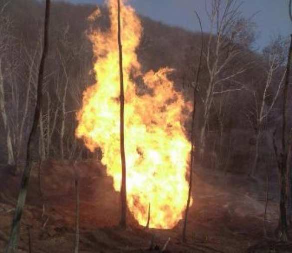 Поврежденную трубу газопровода в Закарпатье отправили на экспертизу, — Москаль | Русская весна