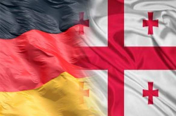 Россия в ПАСЕ: Немецкий дипломат осадил главу МИД Грузии | Русская весна