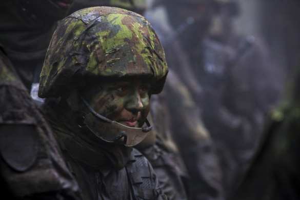 Голландия отказалась участвовать в военной агрессии США против Сирии | Русская весна