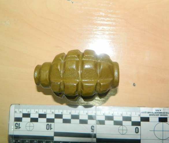 В Киеве на железнодорожном вокзале задержан мужчина с боевой гранатой (ФОТО) | Русская весна