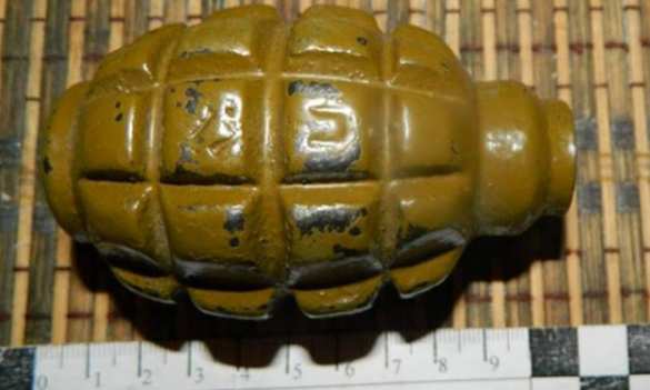 В Киеве в жилом доме нашли боевую гранату (ФОТО) | Русская весна